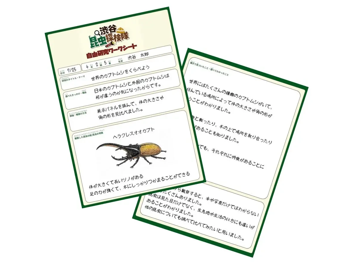 オリジナルワークシートで自由研究をサポート